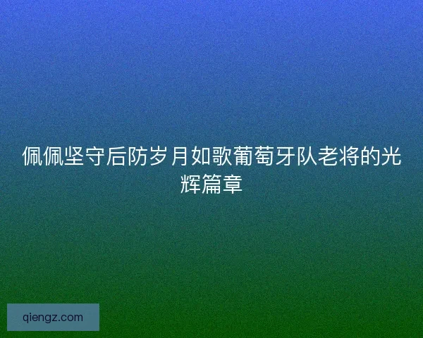 佩佩坚守后防岁月如歌葡萄牙队老将的光辉篇章